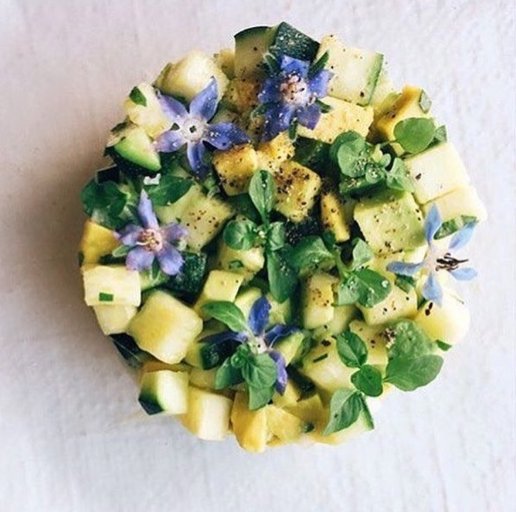 Zucchini tartare